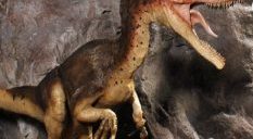 Branson Dinosaur Museum