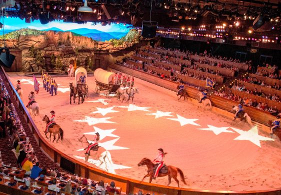 A packed Branson dinner-show arena