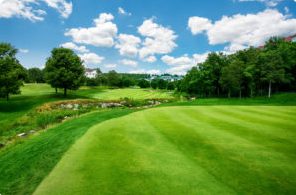 Golf course fairway 1