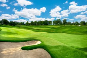 Golf course fairway 2