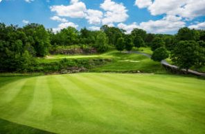 Golf course fairway 3
