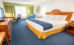 Thousand Hills Resort Hotel - King Room
