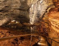 Explore Branson’s nature