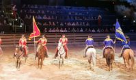 Dolly Parton’s Stampede Dinner Show